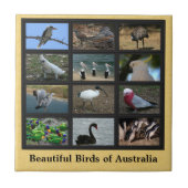 Schöne Vögel aus Australien Collage Fliese (Vorderseite)