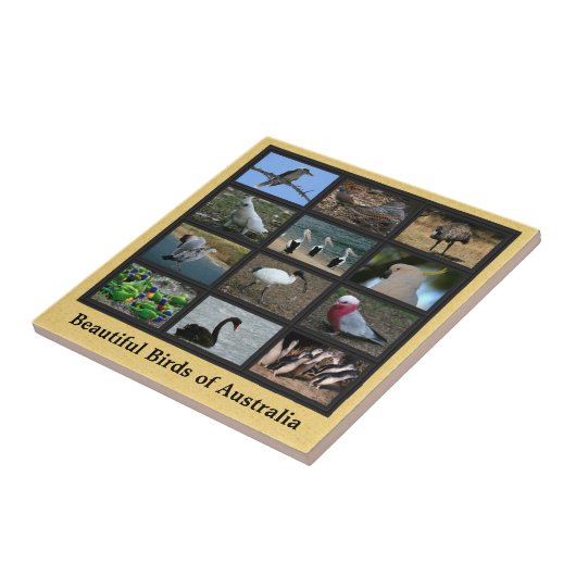 Schöne Vögel aus Australien Collage Fliese (Seite)
