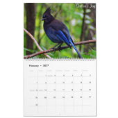 Schöne Vögel des Britisch-Columbia Kalender (Feb 2027)