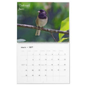 Schöne Vögel des Britisch-Columbia Kalender (Mär 2027)