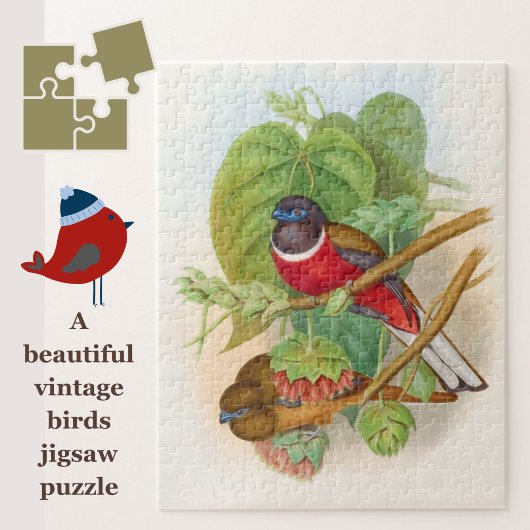Schöne Vögel farbenfrohe Vintage Illustration Puzzle