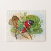 Schöne Vögel farbenfrohe Vintage Illustration Puzzle (Horizontal)