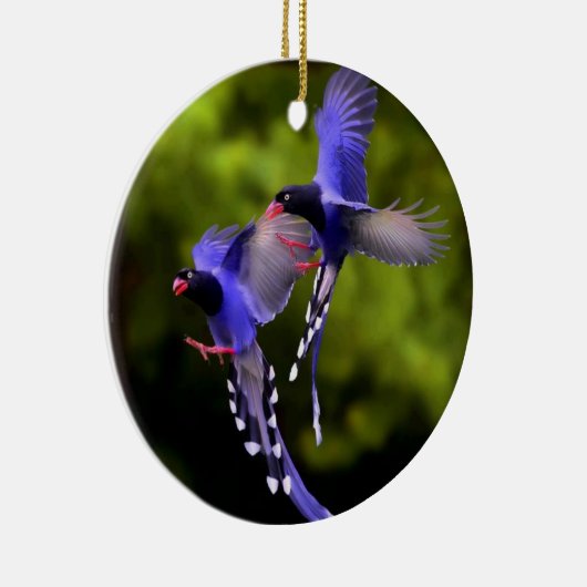 Schöne Vögel im Flight Weihnachtsbaum Ornament (Rechts)