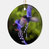 Schöne Vögel im Flight Weihnachtsbaum Ornament (Links)