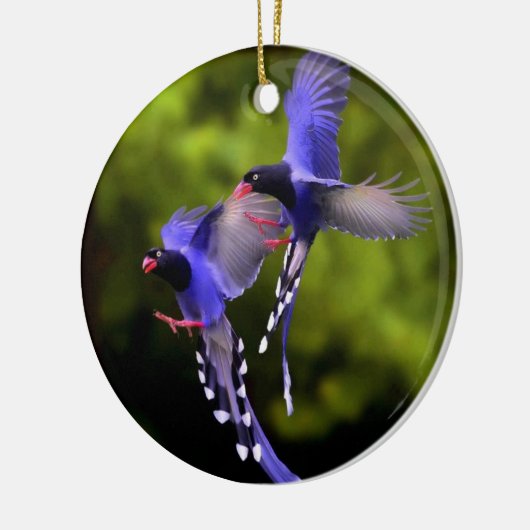 Schöne Vögel im Flight Weihnachtsbaum Ornament (Links)