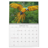 Schöne Vögel Kalender (Feb 2027)