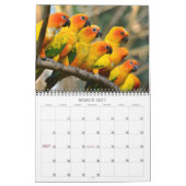 Schöne Vögel Kalender (Mär 2027)