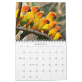 Schöne Vögel Kalender (Mär 2026)