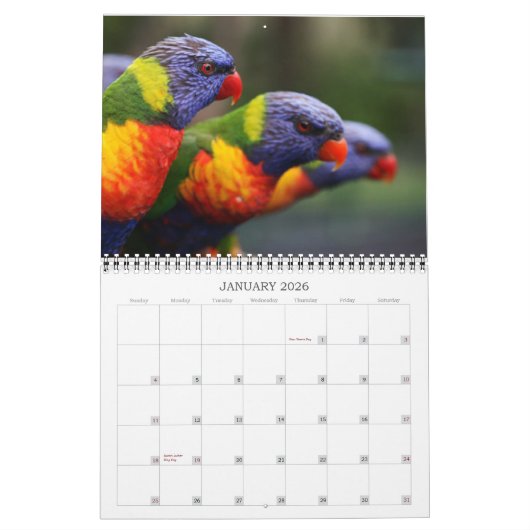 Schöne Vögel Kalender (Jan 2026)