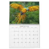 Schöne Vögel Kalender (Feb 2026)