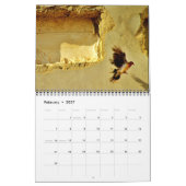 Schöne Vögel Kalender (Feb 2027)