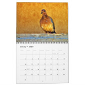 Schöne Vögel Kalender (Jan 2027)