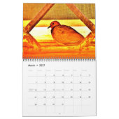 Schöne Vögel Kalender (Mär 2027)
