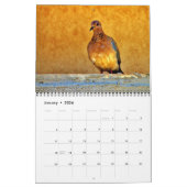 Schöne Vögel Kalender (Jan 2026)