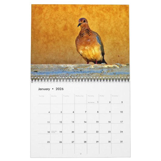 Schöne Vögel Kalender (Jan 2026)