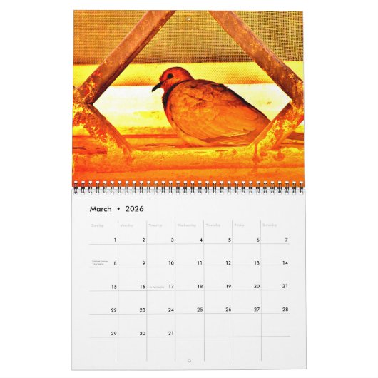 Schöne Vögel Kalender (Mär 2026)