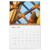 Schöne Vögel Kalender (Feb 2027)