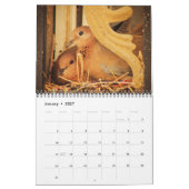 Schöne Vögel Kalender (Jan 2027)