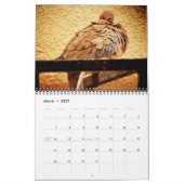 Schöne Vögel Kalender (Mär 2027)