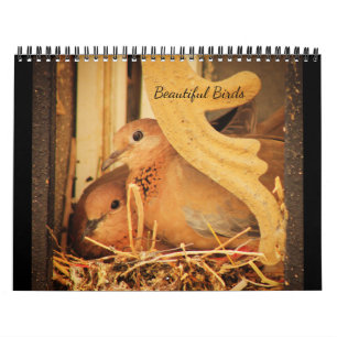 Schöne Vögel Kalender