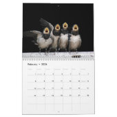 Schöne Vögel Natur Tiere Aviale Kalender (Feb 2026)