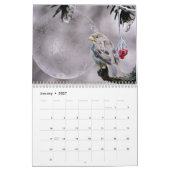 Schöne Vögel Natur Tiere Aviale Kalender (Jan 2027)