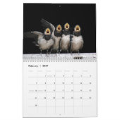 Schöne Vögel Natur Tiere Aviale Kalender (Feb 2027)