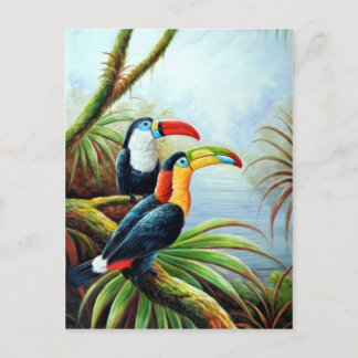 Schöne Vögel Postkarten 02