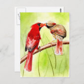 schöne Vögel - Postkarten 15 (Vorne/Hinten)