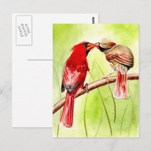 schöne Vögel - Postkarten 15 (Vorne/Hinten)