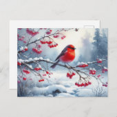 Schöne Vogel- und Winterlandschaft 13 Postkarte (Vorne/Hinten)