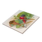 Schöne Vögel Vintage Illustration farbenfroh Fliese (Seite)