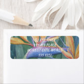 SCHÖNE VÖGEL VON PARADISCH (Insitu)