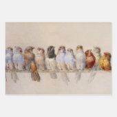 Schöne Vögel Wasserfarbe Perch Vögel Geschenkpapier Set (Vorderseite 3)