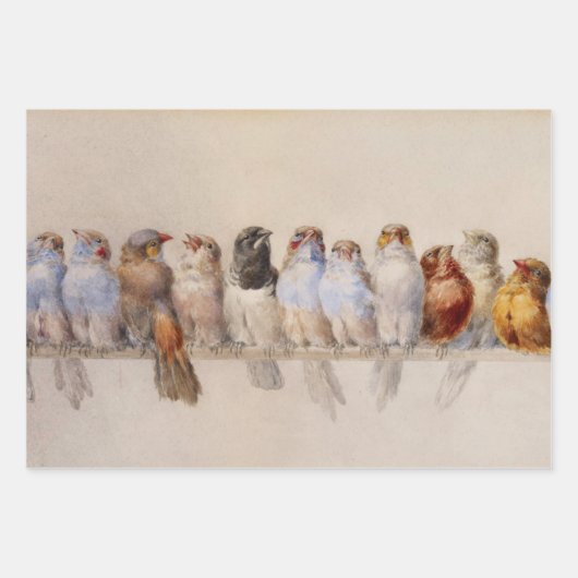 Schöne Vögel Wasserfarbe Perch Vögel Geschenkpapier Set (Vorderseite 3)