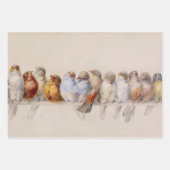 Schöne Vögel Wasserfarbe Perch Vögel Geschenkpapier Set (Vorderseite 2)