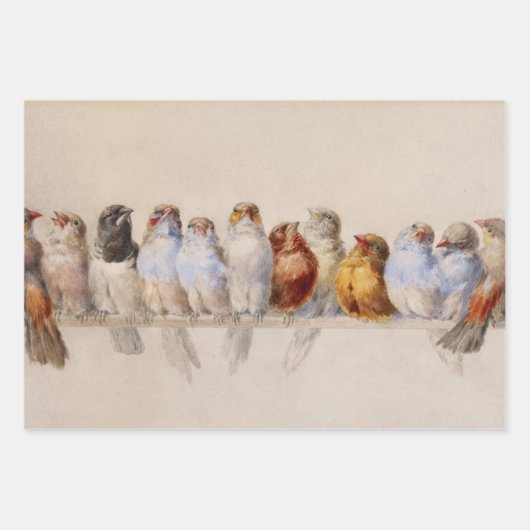 Schöne Vögel Wasserfarbe Perch Vögel Geschenkpapier Set (Vorderseite)
