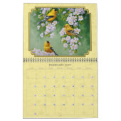 Schöne Vogelbilder Kalender (Feb 2027)