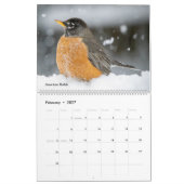 Schöne Vogelfotografie 2025 Kalender Bluebird (Feb 2027)