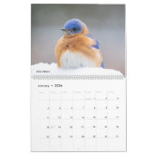 Schöne Vogelfotografie 2025 Kalender Bluebird (Jan 2026)