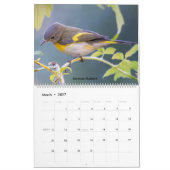 Schöne Vogelfotografie 2025 Kalender Bluebird (Mär 2027)