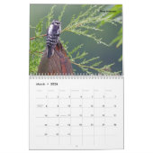 Schöne Vogelfotografie Wall Calendar Song Bird Kalender (Mär 2026)