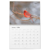 Schöne Vogelfotografie Wall Calendar Song Bird Kalender (Jan 2026)