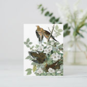 schöne Vogelnachweise 28 Postkarte (Stehend Vorderseite)