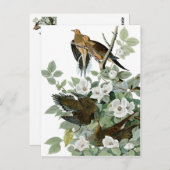 schöne Vogelnachweise 28 Postkarte (Vorne/Hinten)