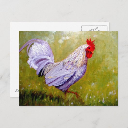 schöne Vogelpostkarten 12 Postkarte (Vorne/Hinten)