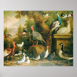 Schöne Vogelsammlung mit Vintag-Feel Poster