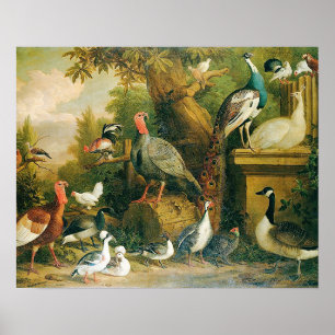 Schöne Vogelsammlung mit Vintage-Charme Poster
