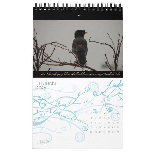 Schöne Vogelschutzfotografie-Vogelbeobachter 2026 Kalender (Feb 2026)