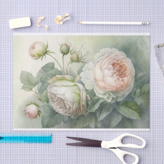 Schöne, voll rosa Cabbage-Rose Seidenpapier (Handwerk)